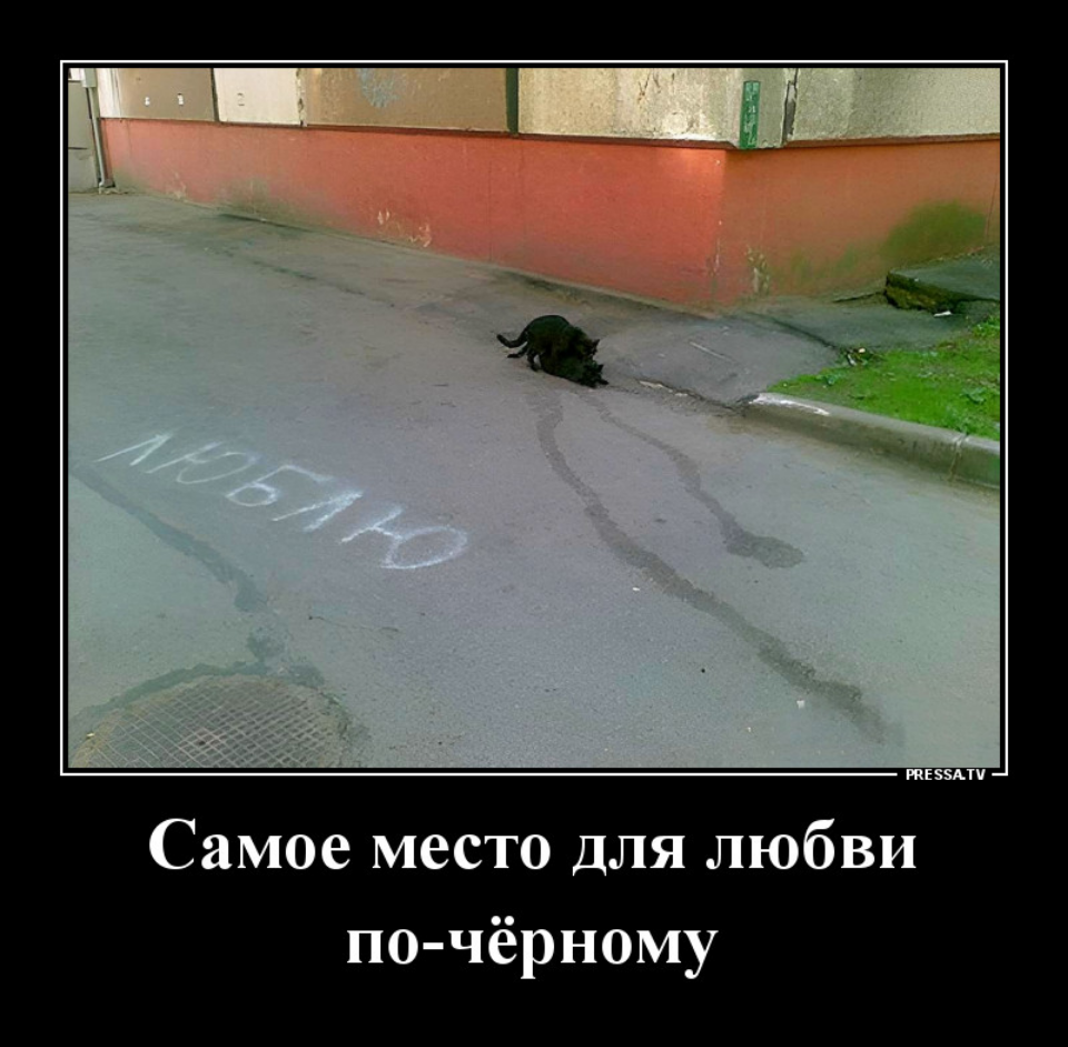 В субботу картина