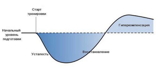 Фаза суперкомпенсации в бодибилдинге - основа постоянного прогресса
